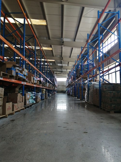 莆田专业网店仓储物流品牌