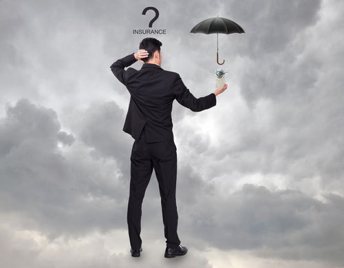 2013年产玉米种子出苗不佳的法律应对措施